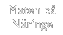 Maten p Nringe